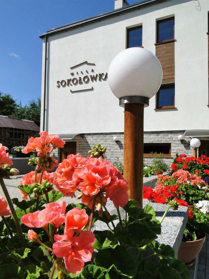 Willa Sokolowka Polanica-Zdrój Exteriör bild
